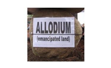 Allodial land